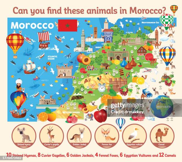 stockillustraties, clipart, cartoons en iconen met find the hidden animals on the map? 
morocco crossword - marrakech