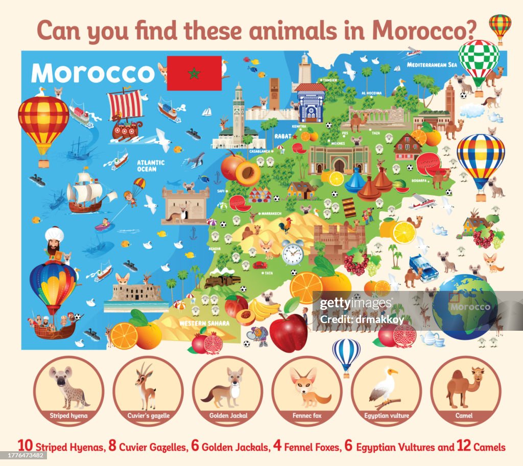 Find the hidden animals on the map?
Morocco Crossword