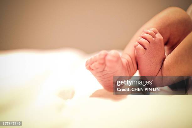 Lin Newborn Starting Lin Photos and Premium High Res Pictures - Getty Images
