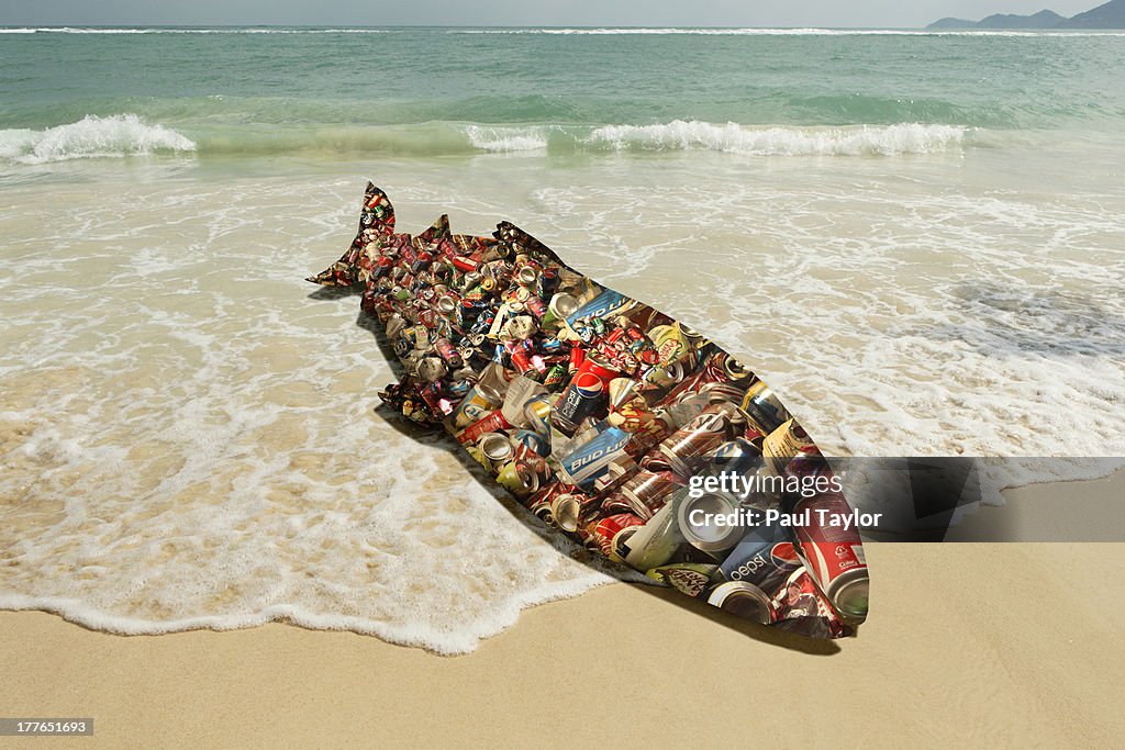 Cans Collaged in Shape of Beached Fish