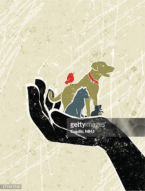 pets, dog, cat, mouse and bird in giant protective hand - animal protection stock illustrations