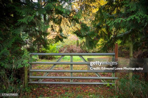 161 Country Driveway Gates Stock Photos, High-Res Pictures, and Images ...