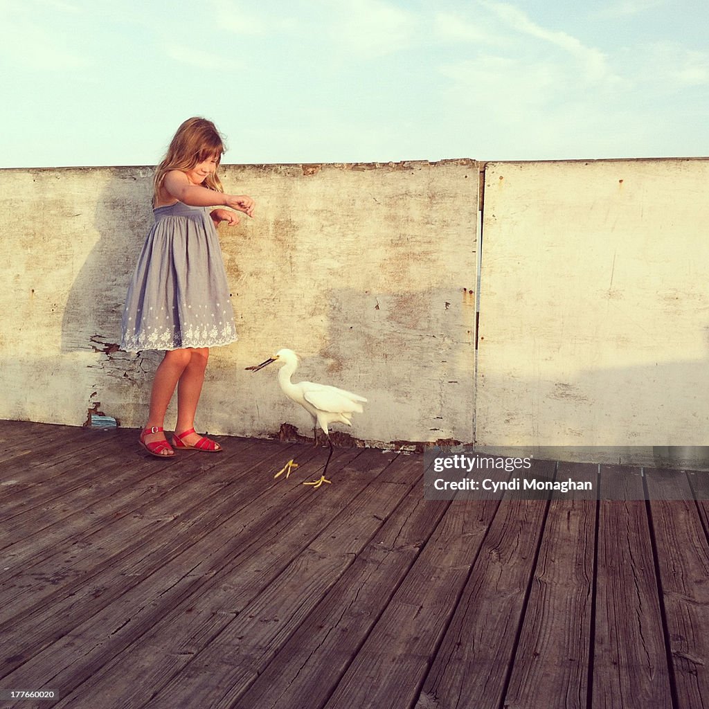 Girl and egret