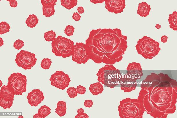 pink rose pattern on white background - white rose flower spa stock-fotos und bilder