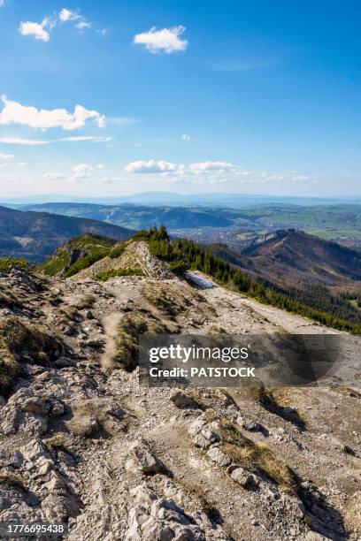 hiking trail in the mountains - tatra national park stock pictures, royalty-free photos & images