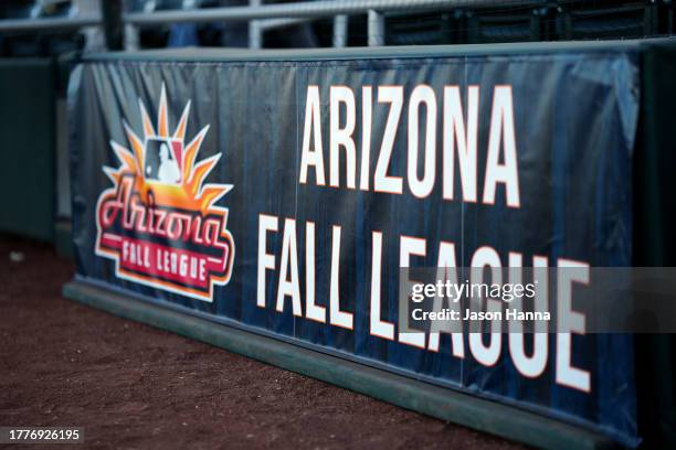 Detail shot of the Arizona Fall League logo on the field prior to the 2023 Arizona Fall League Championship Game between the Peoria Javelinas and the...