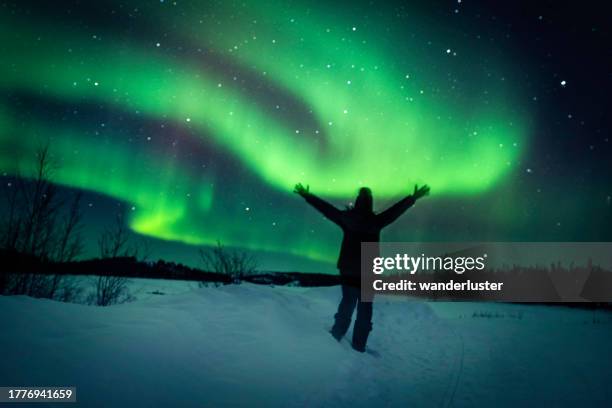 aurores boréales dans les territoires du nord-ouest, canada - aurore polaire photos et images de collection