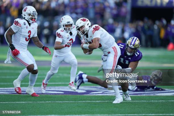 Washington Huskies linebacker Alphonzo Tuputala brings down Utah Utes quarterback Bryson Barnes after a big Utah gain during a PAC12 game between the...