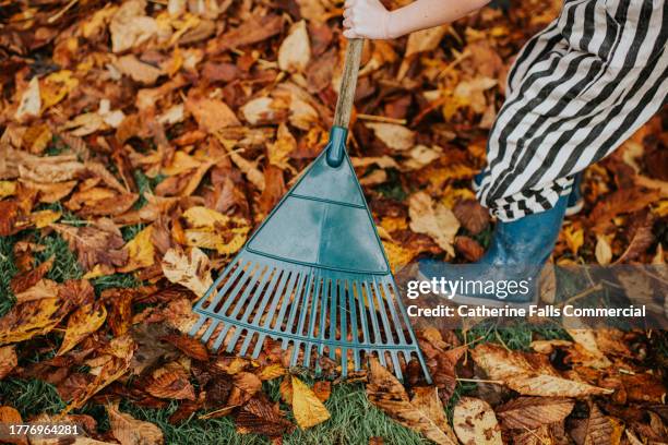 close-up of a child wearing wellington boots raking a large pile of fallen autumn leaves - catherine falls stock pictures, royalty-free photos & images