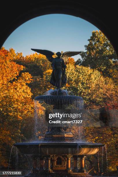 central park's bethesda fountain in autumn - new york central park fountain stock pictures, royalty-free photos & images