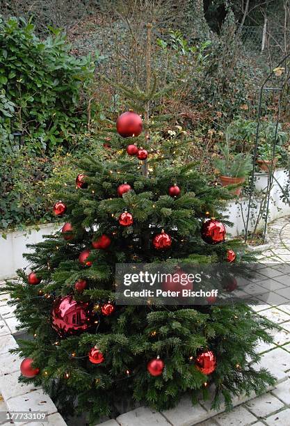 Terasse von Heide Keller, Homestory, Bad Godesberg / Bonn, Nordrhein-Westfalen, Deutschland, Europa, Garten, Weihnachten, Weihnachtsbaum,...