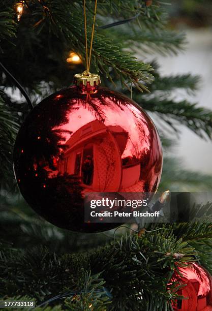 Weihnachtsbaum, Bad Godesberg / Bonn, Nordrhein-Westfalen, Deutschland, Europa, Weihnachtskugeln, Kugeln, Reise,