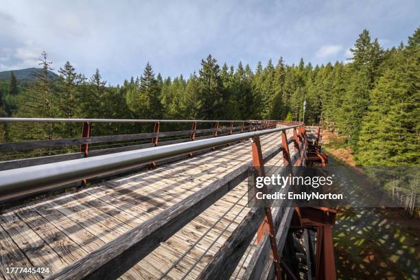 kinsol trestle, vancouver island - trestle stock pictures, royalty-free photos & images