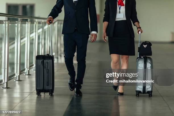 the flight is over - steward stockfoto's en -beelden