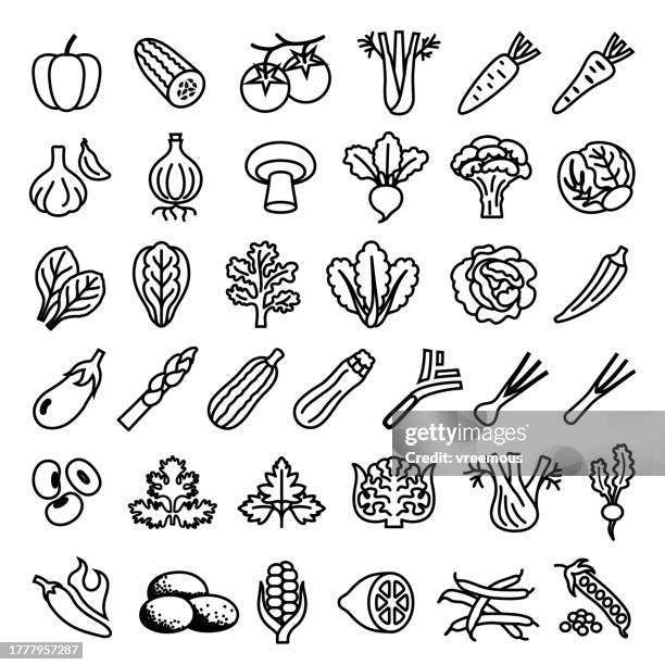 gemüse-umriss-icons-set - stangensellerie stock-grafiken, -clipart, -cartoons und -symbole