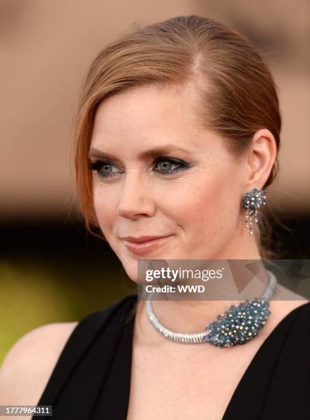 Amy Adams