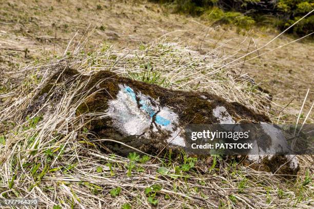 hiking trail mark in the tatra mountains - tatra national park stock pictures, royalty-free photos & images