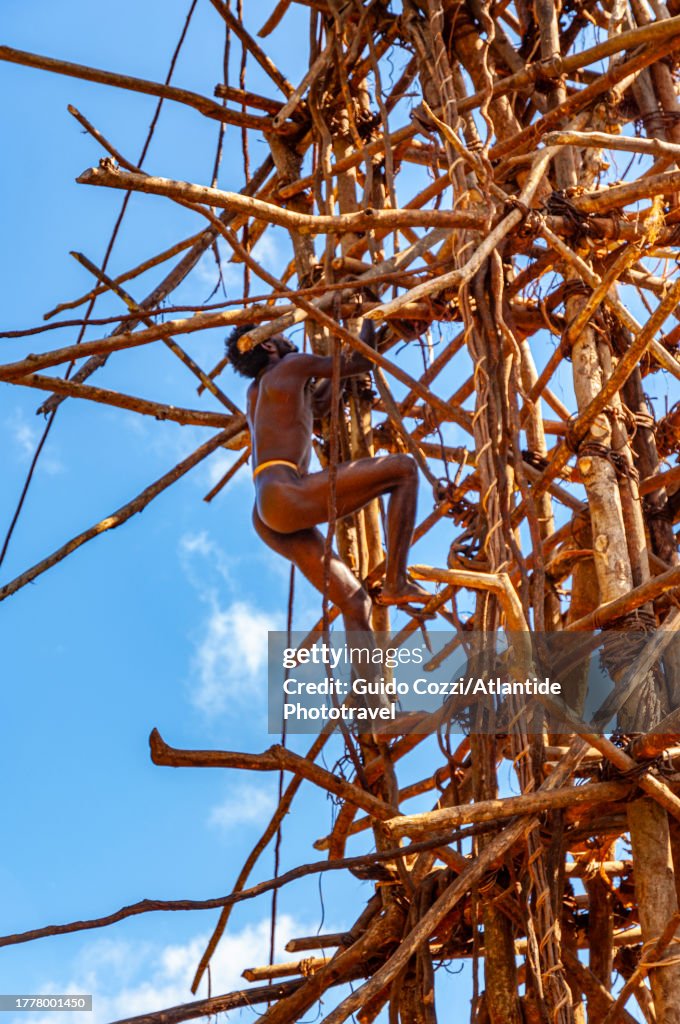 Nagol Ritual Vanuatu Pentecost Island Nagol Ceremony High-Res Stock Photo - Getty Images