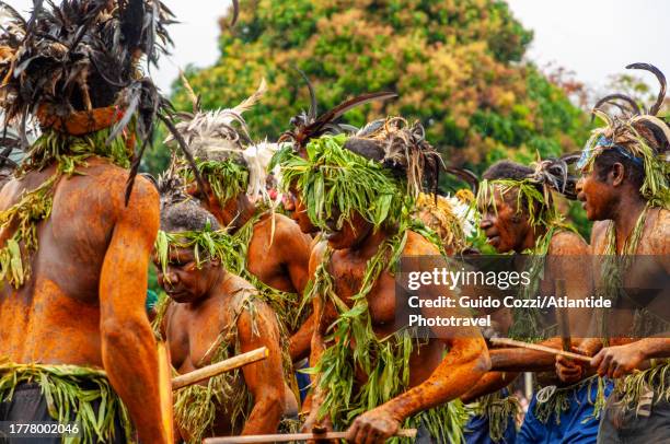 Pachava 288 Pentecost Island Vanuatu Stock Photos, High-Res Pictures, and ...
