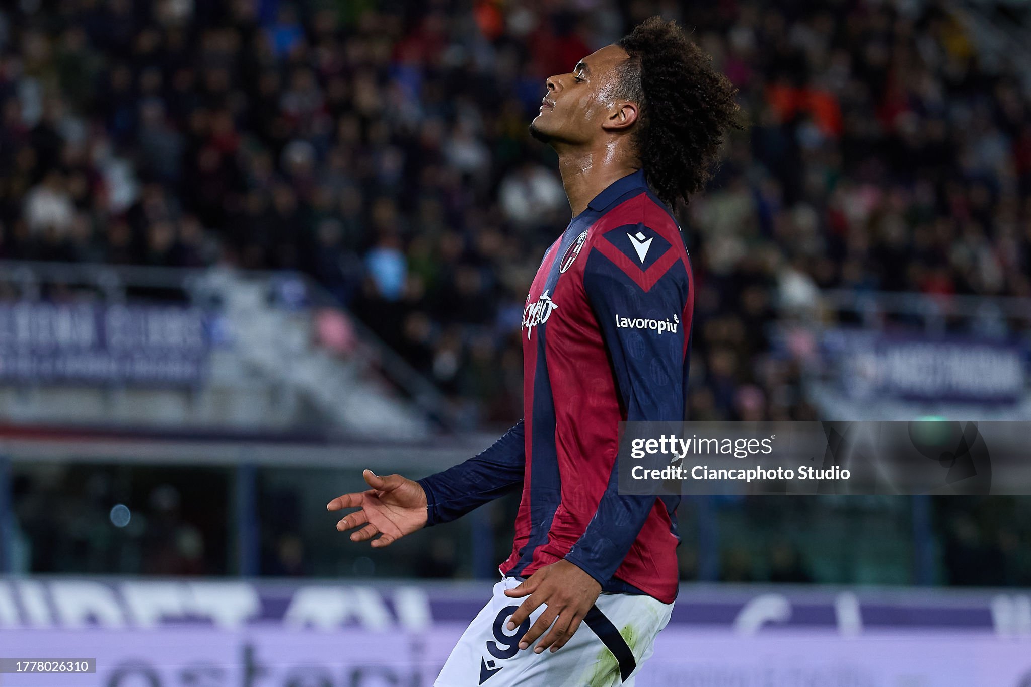 Zirkzee has had enough of top clubs and makes a choice