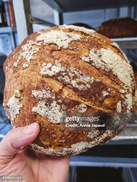 hand holding round sourdough bread - galway people stock pictures, royalty-free photos & images