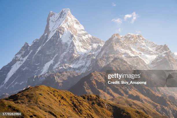 mt.machapuchare (6,993 m) the sacred mountains seen from mardi himal upper viewpoint in nepal. - machapuchare stock pictures, royalty-free photos & images