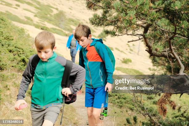 mountain hiking with the family - kids hiking stock pictures, royalty-free photos & images