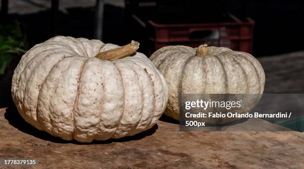 close-up of pumpkins on table,porto cristo,isole baleari,spain - verdura cibo fotografías e imágenes de stock