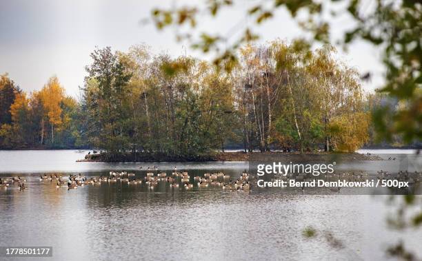 scenic view of lake against sky during autumn - bernd dembkowski stock pictures, royalty-free photos & images