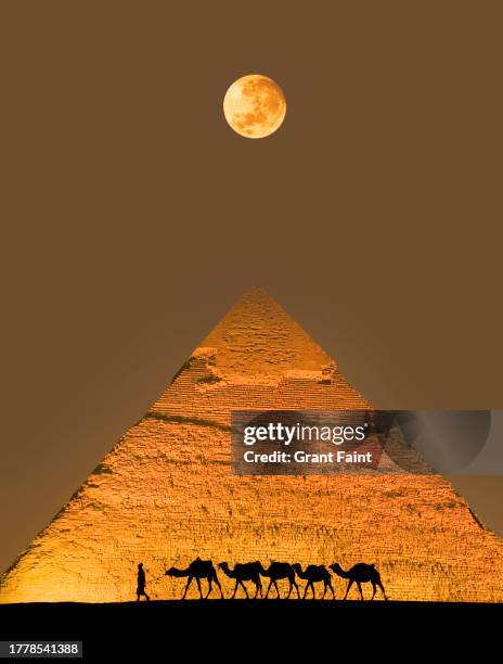 camel train and pyramid - ägyptische kultur stock-fotos und bilder