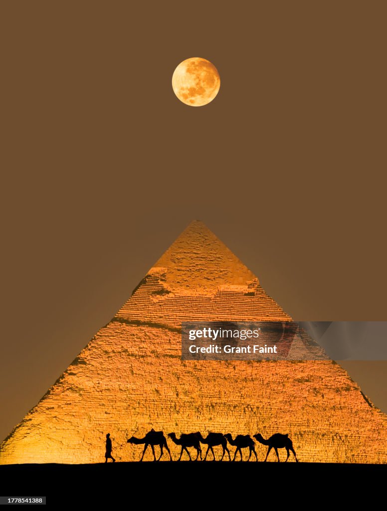 Fototapeta Camel train and pyramid