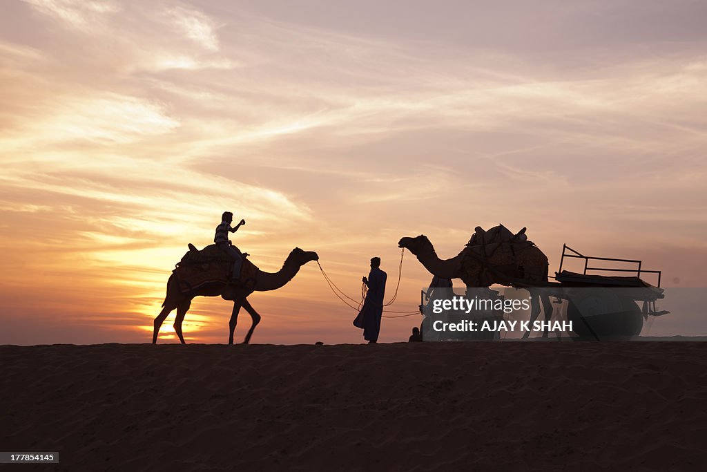 Camel cart at sunset