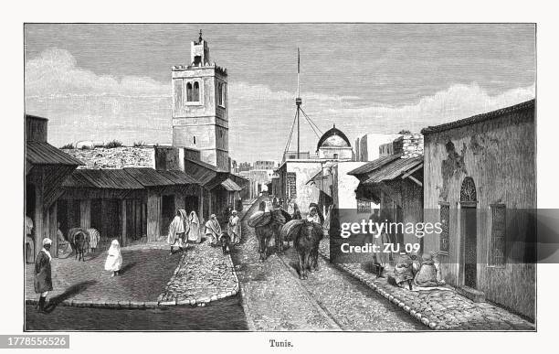historische straßenansicht von tunis, tunesien, holzstich, erschienen 1894 - grautier pferdeartige stock-grafiken, -clipart, -cartoons und -symbole