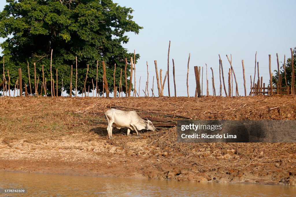 Dry Season In Amazon Region - Brazil
