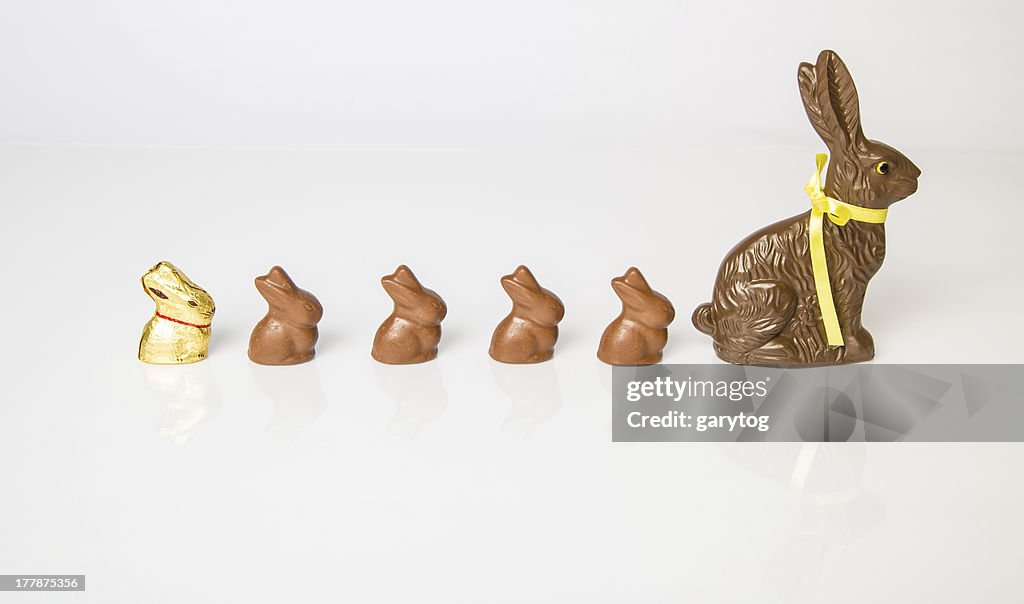 Chocolate Bunny Family