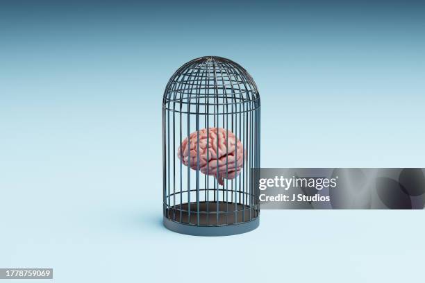 brain floating inside a birdcage - cage stock pictures, royalty-free photos & images