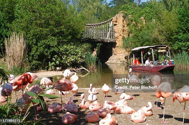 Flussfahrt auf dem Sambesi , Zoo, Hannover, Niedersachsen, Deutschland, Europa, Flamingo, Tier, Reise,