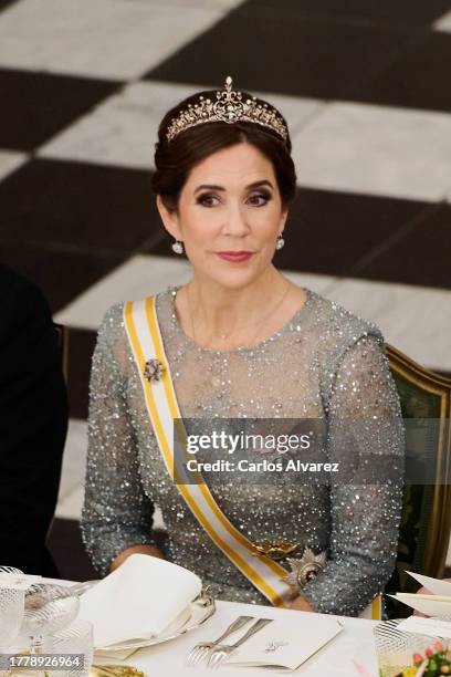 Crown Princess Mary of Denmark attends a gala dinner at the Christiansborg Palace on November 06, 2023 in Copenhagen, Denmark.