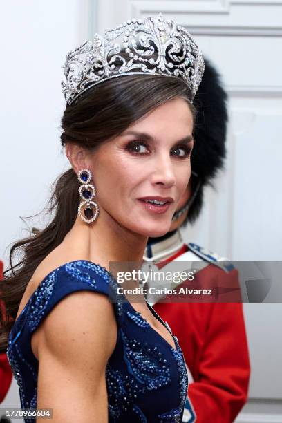 Queen Letizia of Spain attends a gala dinner at the Christiansborg Palace on November 06, 2023 in Copenhagen, Denmark.