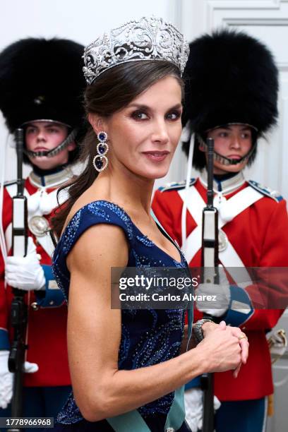 Queen Letizia of Spain attends a gala dinner at the Christiansborg Palace on November 06, 2023 in Copenhagen, Denmark.
