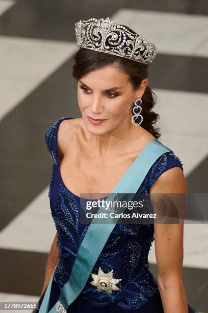 Queen Letizia of Spain attends a gala dinner at the Christiansborg Palace on November 06, 2023 in Copenhagen, Denmark.