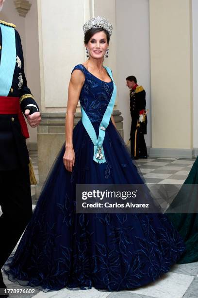 Queen Letizia of Spain attends a gala dinner at the Christiansborg Palace on November 06, 2023 in Copenhagen, Denmark.