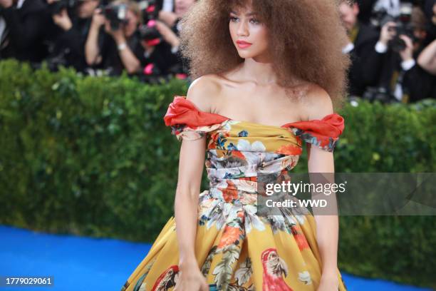 Zendaya, Red carpet arrivals at the 2017 Met Gala: Rei Kawakubo/Comme des Garcons, May 1st, 2017.