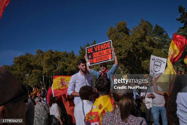 Malaga, Spain, . Between 30,000 and 40,000 people take part in a rally in Malaga organised by the Popular Party against the amnesty for Catalan...