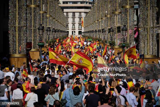 Malaga, Spain, . Between 30,000 and 40,000 people take part in a rally in Malaga organised by the Popular Party against the amnesty for Catalan...