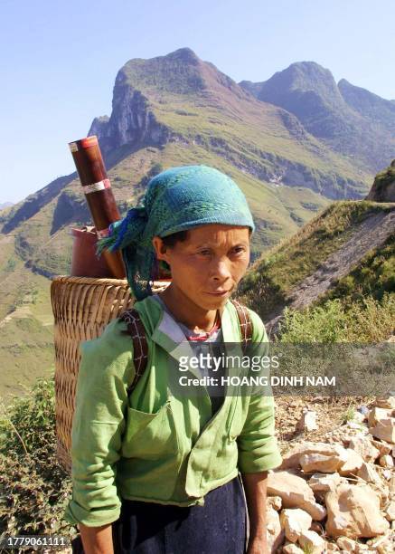 Mong hilltribe woman makes her way to a field in Meo Vac district in the northern province of Ha Giang on 09 October 2002. The province is classified...
