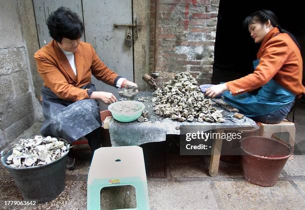 Two women scrape oysters, harvested from the coastline facing the island of Taiwan, behind a restaurant in Xiamen, eastern China's Fujian province 03...