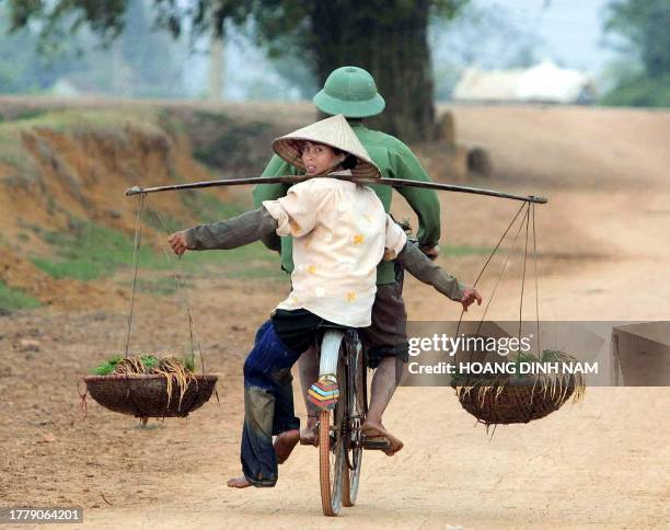 Farming couple ride a bicycle on their way to work on a rice field with baskets of young rice plants in Northern province of Ha Tay, 20 February...