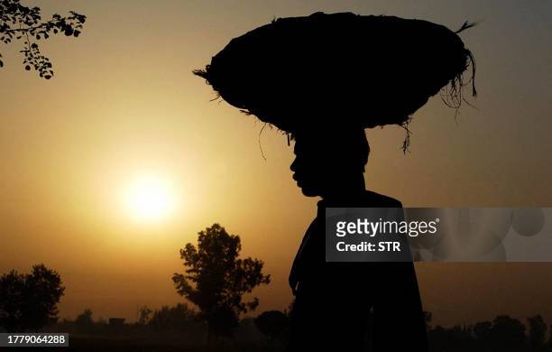 An Indian farmer is silhouetted against the rising sun as he carries a basket on his head, while he walks in his fields near Amritsar, 08 December...
