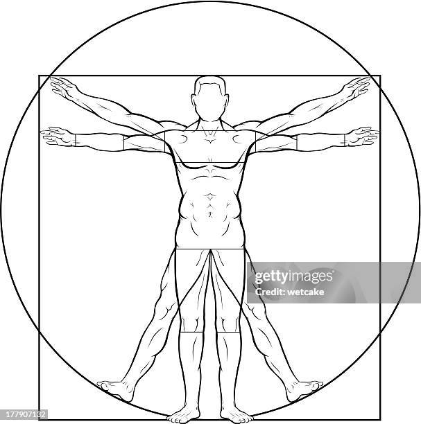 ilustraciones, imágenes clip art, dibujos animados e iconos de stock de el hombre de vitruvio - leonardo da vinci